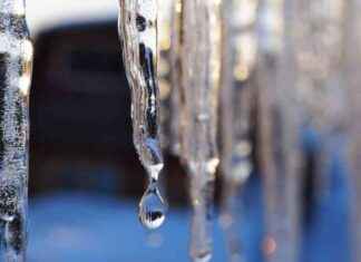 Milder Winter in NRW: Bilanz des DWD für 2024/25 milder-winter-in-nrw-bilanz-des-dwd-fr-202425