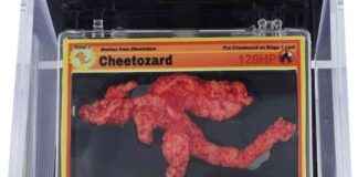 Seltener Pokémon-förmiger Cheeto ‘Cheetozard’ bei Auktion für $87.840 verkauft seltener-pokmon-frmiger-cheeto-cheetozard-bei-auktion-fr-87840-verkauft