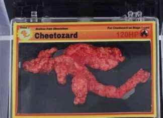 Seltener Pokémon-förmiger Cheeto ‘Cheetozard’ bei Auktion für $87.840 verkauft seltener-pokmon-frmiger-cheeto-cheetozard-bei-auktion-fr-87840-verkauft