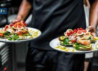 Steuerpläne: Gewinner der Mehrwertsteuer und Agrardiesel in Deutschland steuerplne-gewinner-der-mehrwertsteuer-und-agrardiesel-in-deutschland