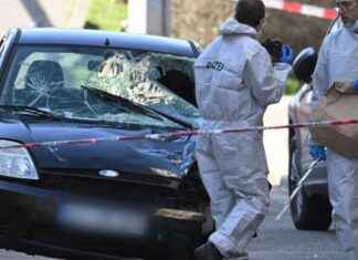 Tödlicher Unfall in Mannheim: Ermittler vermuten psychische Erkrankung tdlicher-unfall-in-mannheim-ermittler-vermuten-psychische-erkrankung