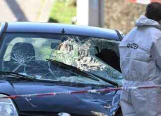 Todesfahrt in Mannheim: Details zu den tragischen Ereignissen todesfahrt-in-mannheim-details-zu-den-tragischen-ereignissen