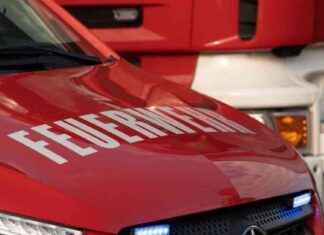 Tragödie bei Bonn: Pilot stirbt – Tochter überlebt Flugzeugabsturz tragdie-bei-bonn-pilot-stirbt-tochter-berlebt-flugzeugabsturz