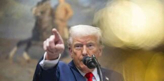 trump-kndigt-zlle-auf-agrarprodukte-ab-april-an-neue-entwicklungen-in-der-handelspolitik