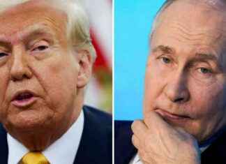 Trump plant Gespräch mit Putin: Kriegsende in Sicht? trump-plant-gesprch-mit-putin-kriegsende-in-sicht