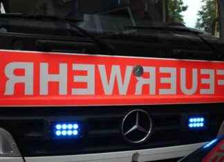 Wohnungsbrand in Düsseldorf Wittlaer: Feuerwehreinsatz – Aktuelle Nachrichten wohnungsbrand-in-dsseldorf-wittlaer-feuerwehreinsatz-aktuelle-nachrichten