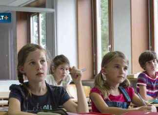 Bildungskrise: Schüler-ID für jedes Kind – Zweck von Schwarz-Rot bildungskrise-schler-d-fr-jedes-kind-zweck-von-schwarz-rot