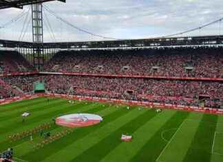 1. FC Köln kämpft um den Aufstieg: Spiel am Sonntag | SAT.1 NRW – Infopage 1-fc-kln-kmpft-um-den-aufstieg-spiel-am-sonntag-sat1-nrw-nfopage
