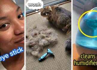 37 Produkte, die wirklich das halten, was sie versprechen 37-produkte-die-wirklich-das-halten-was-sie-versprechen