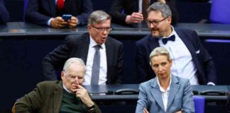 afd-eine-rechtsextreme-partei-entnormalisierung-ist-entscheidend