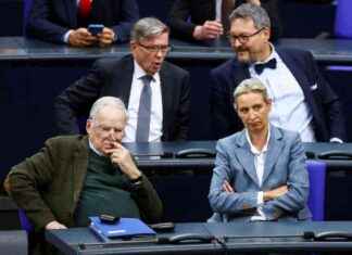 AfD – Eine rechtsextreme Partei: Entnormalisierung ist entscheidend! afd-eine-rechtsextreme-partei-entnormalisierung-ist-entscheidend