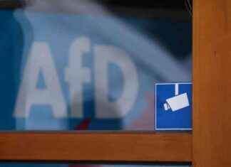 AfD will mit allen Mitteln gegen rechtsextreme Vorwürfe vorgehen afd-will-mit-allen-mitteln-gegen-rechtsextreme-vorwrfe-vorgehen