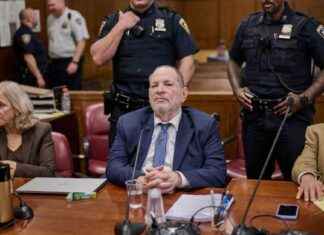 Anklägerin von Weinstein reißt Verteidiger auseinander: Du solltest dich schämen anklgerin-von-weinstein-reit-verteidiger-auseinander-du-solltest-dich-schmen