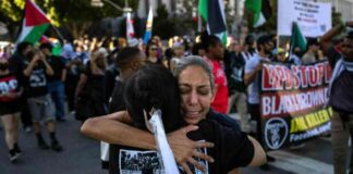 bekmpfung-von-rassismus-in-den-usa-analyse-von-trumps-anti-polizeigewalt-programmen