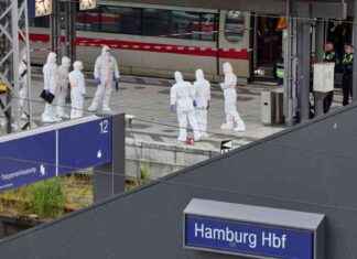 Bluttat am Hamburger Hauptbahnhof: 39-Jährige verletzt 17 Menschen mit Messer bluttat-am-hamburger-hauptbahnhof-39-jhrige-verletzt-17-menschen-mit-messer