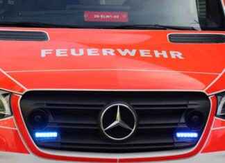 Brand in Lager durch Altbatterien in Düsseldorf Stadtmitte – Zurheide – Ddorf-Aktuell brand-in-lager-durch-altbatterien-in-dsseldorf-stadtmitte-zurheide-ddorf-aktuell