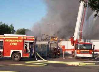 Brand in Supermarkt: Alles zerstört | SAT.1 NRW – Sendungsinfo brand-in-supermarkt-alles-zerstrt-sat1-nrw-sendungsinfo
