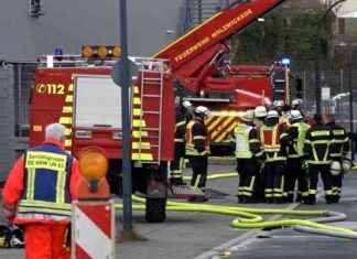 Brandstiftung in Dortmund: Aktuelle Informationen und Hintergründe | SAT.1 NRW brandstiftung-in-dortmund-aktuelle-nformationen-und-hintergrnde-sat1-nrw