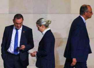 Bundesverfassungsschutz: AfD nicht normale Partei bundesverfassungsschutz-afd-nicht-normale-partei