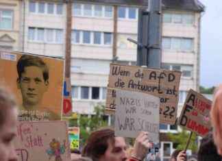 Düsseldorf protestiert gegen AfD-Veranstaltung – Aktuelle Nachrichten in Ddorf dsseldorf-protestiert-gegen-afd-veranstaltung-aktuelle-nachrichten-in-ddorf