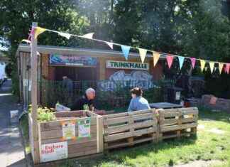 Düsseldorf Wersten: Büdchen open im Wäschte 161 – Ddorf-Aktuell dsseldorf-wersten-bdchen-open-im-wschte-161-ddorf-aktuell