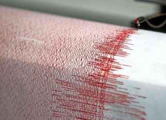 Erdbeben südlich von Südamerika: Tsunami-Warnung und Sicherheitstipps erdbeben-sdlich-von-sdamerika-tsunami-warnung-und-sicherheitstipps