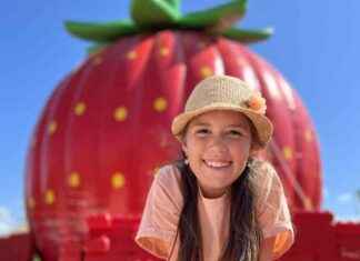 Erdbeerpark Gertrudenhof in NRW: Fotospots, Café und mehr – Ausflugstipp erdbeerpark-gertrudenhof-in-nrw-fotospots-caf-und-mehr-ausflugstipp