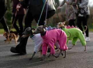 EU-Gipfel in London: Die Zukunft des Brexits eu-gipfel-in-london-die-zukunft-des-brexits