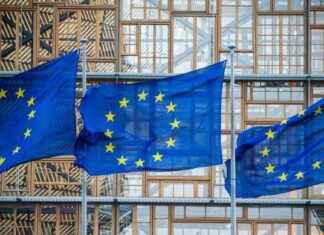 EU sanktioniert zwei prorussische Blogger aus Deutschland – Liveticker eu-sanktioniert-zwei-prorussische-blogger-aus-deutschland-liveticker