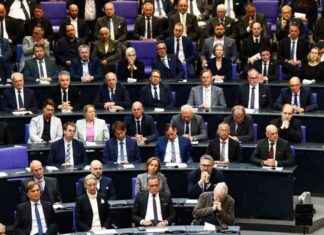 Feinde der Verfassung: Analyse des AfD-Gutachtens – 1108 Seiten umfassend feinde-der-verfassung-analyse-des-afd-gutachtens-1108-seiten-umfassend