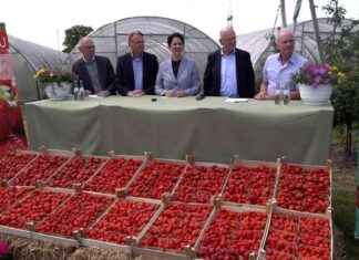 Frisch vom Feld – direkt ins Herz | SAT.1 NRW – Sendungsinformationen frisch-vom-feld-direkt-ins-herz-sat1-nrw-sendungsinformationen