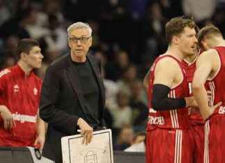 Herberts Ernennung zum Nationalcoach sorgt für seltsame Stimmung im Westpark herberts-ernennung-zum-nationalcoach-sorgt-fr-seltsame-stimmung-im-westpark