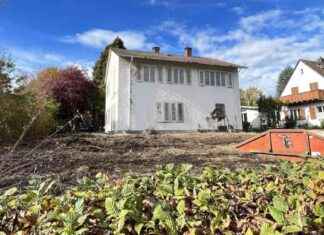 Kauziger Multimillionär vom Bodensee hinterlässt Millionen für soziale Projekte kauziger-multimillionr-vom-bodensee-hinterlsst-millionen-fr-soziale-projekte