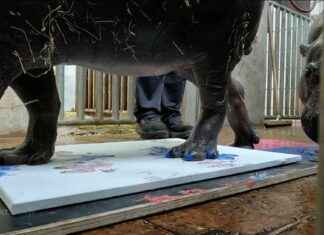 Kunst und Kultur für große Füße | SAT.1 NRW – Sendungsinformationen kunst-und-kultur-fr-groe-fe-sat1-nrw-sendungsinformationen