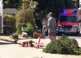 Maibaum stürzt in Menschenmenge | SAT.1 NRW – Aktuelle News und Infos maibaum-strzt-in-menschenmenge-sat1-nrw-aktuelle-news-und-nfos