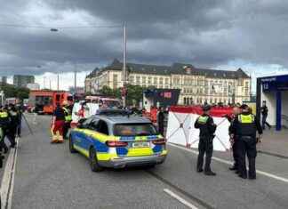 Messerangriff am Hamburger Hauptbahnhof: Zwölf Verletzte bei Bluttat messerangriff-am-hamburger-hauptbahnhof-zwlf-verletzte-bei-bluttat