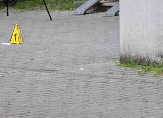 Messerangriff in Halle/Saale: Mann verletzt drei Menschen – darunter Zwölfjährige messerangriff-in-hallesaale-mann-verletzt-drei-menschen-darunter-zwlfjhrige