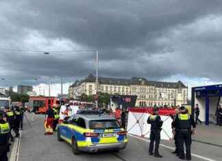 Messerangriff in Hamburg: Fakten und Unklarheiten messerangriff-in-hamburg-fakten-und-unklarheiten