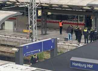 Messerangriff in Hamburg: Opposition fordert volle Polizeipräsenz und mehr Prävention messerangriff-in-hamburg-opposition-fordert-volle-polizeiprsenz-und-mehr-prvention