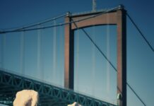 Mercure City Nord Düsseldorf: Entdecken Sie Komfort Und Stil