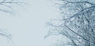 3 Tage Wetter Düsseldorf: Was Erwartet Uns In Den Nächsten Tagen?