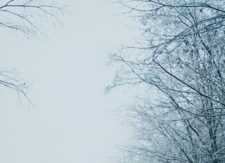 3 Tage Wetter Düsseldorf: Was Erwartet Uns In Den Nächsten Tagen?