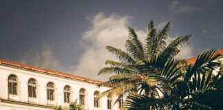 Hotel Courtyard Düsseldorf Seestern: Entdecken Sie Komfort Und Stil!