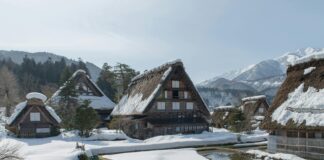 Go Asia Supermarkt Düsseldorf: Entdecken Sie Exotische Köstlichkeiten!