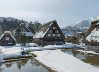 Go Asia Supermarkt Düsseldorf: Entdecken Sie Exotische Köstlichkeiten!