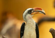 Flüge Von Düsseldorf Nach Barcelona: Entdecken Sie Traumziele!