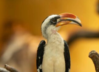 Flüge Von Düsseldorf Nach Barcelona: Entdecken Sie Traumziele!