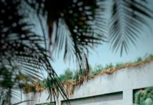 Hotel Holiday Inn Düsseldorf Neuss: Ihr Perfekter Aufenthalt Entdecken!