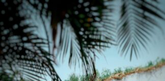 Holiday Inn Express Düsseldorf: Entdecken Sie Komfort Und Stil