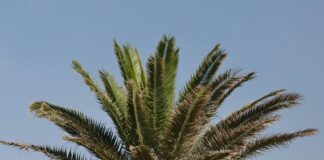 Caravan Messe Düsseldorf 2024: Entdecken Sie Die Neuheiten